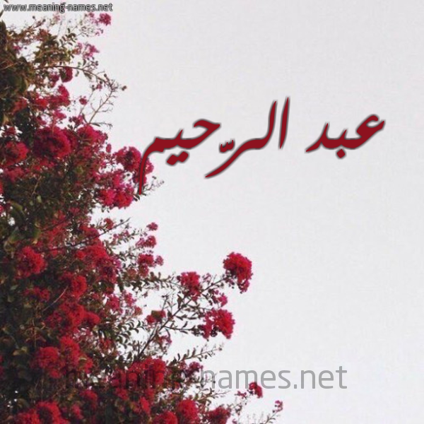 شكل 18 صوره الورد الأحمر للإسم بخط رقعة صورة اسم عبد الرَّحيم ABD-ALRAHIM